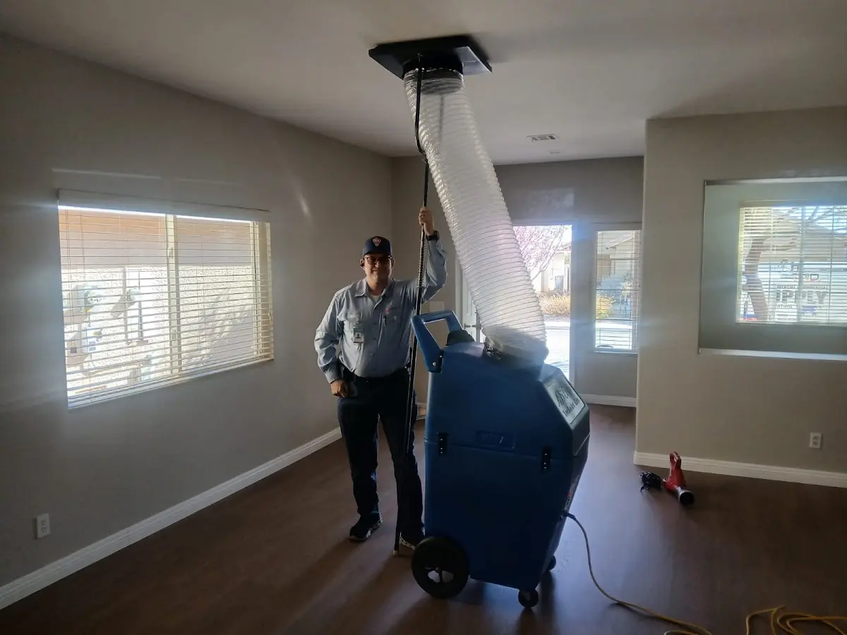 Professional Dryer Vent Cleaning work inside a Rutherford home